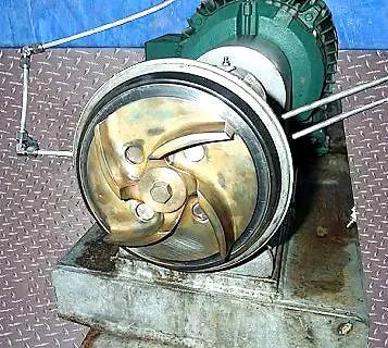 300 GPM @ 170' TDH, Tri-Clover #SP-218M-9237-35, Centrifugal Pump, 25 HP, 3535 RPM, 230/460 V, 70 psi, 7" - Image 8
