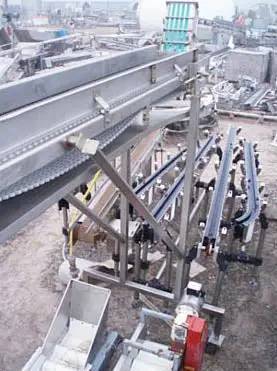 12" wide, Stainless Steel Belt Conveyor, 1/2 HP, 7" infeed/exit H, 2.5" H Clearance above belt - Image 10