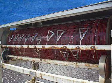 Chisholm Ryder #PST542C, green bean cutter - Image 9