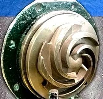 14 GPM @ 51' TDH, Goulds #3196, Centrifugal Pump, Size 1" x 1-1/2" x 8", 1.5 HP, 1730 RPM, 6.62" Impeller - Image 6