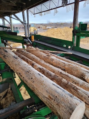 Twin Scragg Mill With Edger - Image 4