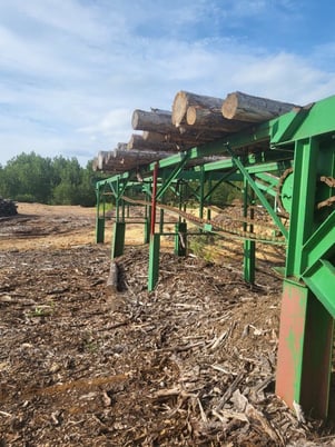 Twin Scragg Mill With Edger - Image 8