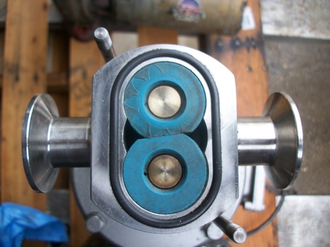 IBEX #030, Ibex Steel positive displacement pump, lobe type, 1/2 HP, 1" inlet/outlet - Image 4