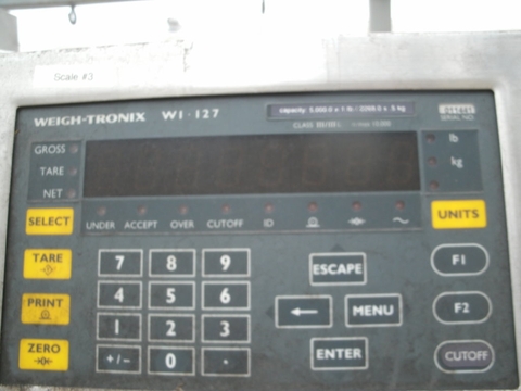 0.5-5000 lb. Weigh Tronix #DSL-6060-05, Carbon Steel Platform/Supersack Back Scale, 60" x 60" platform - Image 5