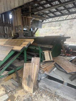 Chop Saw w/ Infeed Unscrambler, 12" Blade, 5 HP - Image 3