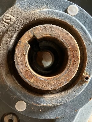 3 HP, Falk UltraMite Right-Angle Gearbox and Motor, 100.00 :1 Ratio, Output RPM 18 - Image 6