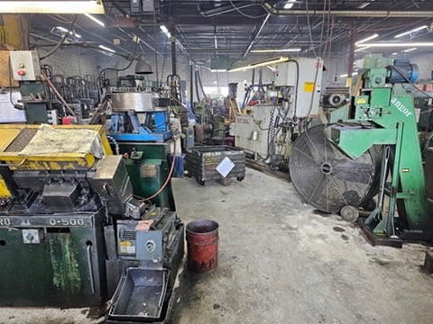 Small screw plant - Image 2