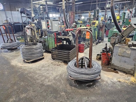 Small screw plant - Image 3