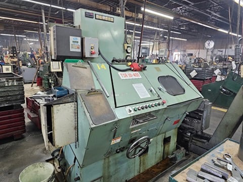 Small screw plant - Image 4