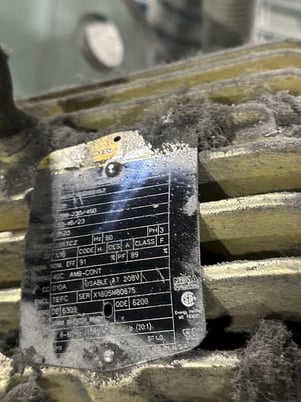 Goff #WM27.5-2-40, 2-wheel downblast mesh belt machine, 20 HP per wheel, 2008 - Image 8