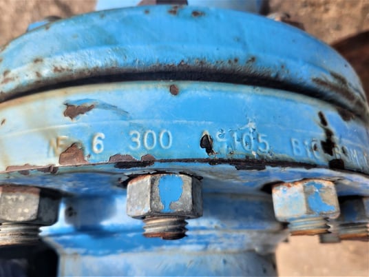 6" 300 Lb. PE #G-4506-F, Pulsation Dampener, 300 psi max Charge, 450 psi max Oper. Pressure - Image 2