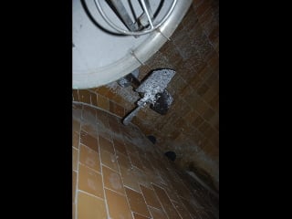 150 HP Lightnin, Agitator Drive, No Blades, 575 V, 1200 RPM - Image 2