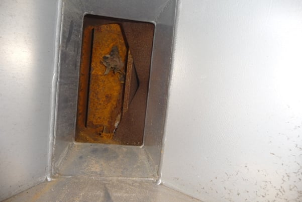 6" x 10" Steel Rotary Valve, 1.5 HP, 208-230/460 V - Image 2