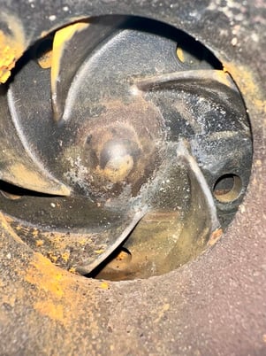 Goulds #3196, size 2x3-13, lube flood oil, 1-7/8" oulet, 3" dia inlet, 20 HP Marathon motor - Image 5