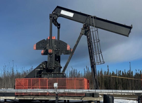 456-305-168 DPEG - Workhorse, conventional pump jack - Image 2