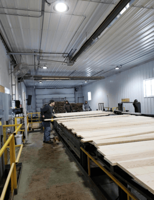 Complete Lumber Concentration Yard - Image 4