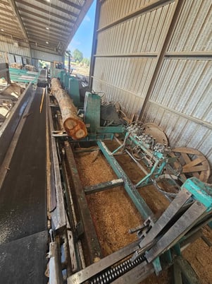 Helle, 5-head Block Sawmill, 200 HP, 52" sawblade, 8'-40' logs, conveyors, turners - Image 2