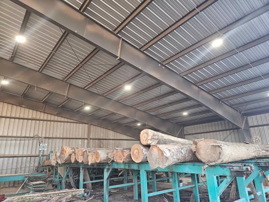 Helle, 5-head Block Sawmill, 200 HP, 52" sawblade, 8'-40' logs, conveyors, turners - Image 9