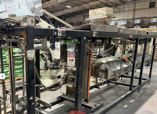 Hamer #2080, Form Fill Seal Bagging Line, Kawasaki robot, 18-20 BPM, 2003 - Image 2