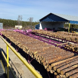 Complete Operation Post Peeling Plant - Image 1