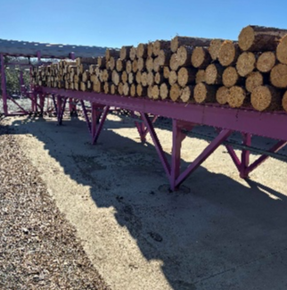 Complete Operation Post Peeling Plant - Image 2