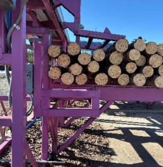 Complete Operation Post Peeling Plant - Image 3