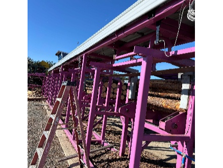 Complete Operation Post Peeling Plant - Image 6