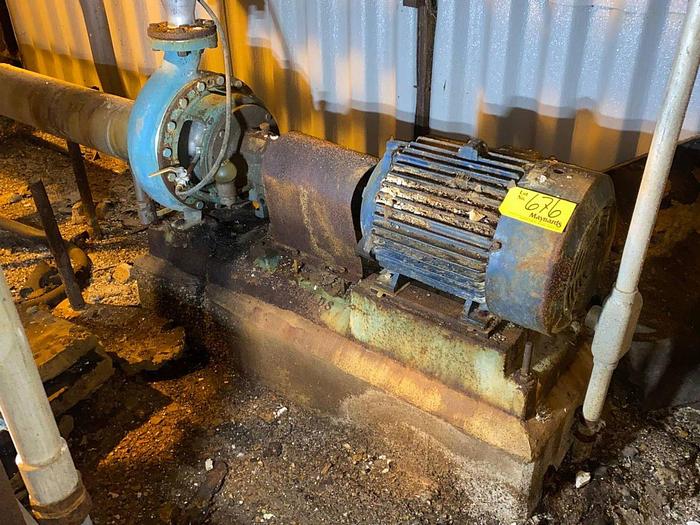 Goulds #3196, Stainless Steel centrifugal pump, 2x3-13 - Image 1
