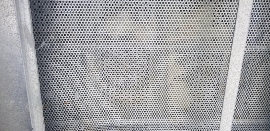 40" x 84" Rotex #42AAL/SS, 304SS, 1-deck, #1272556 - Image 4