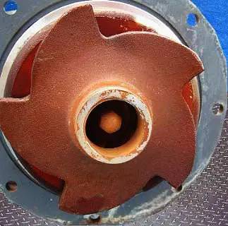 Centrifugal Pump 7.5 HP, 3490 RPM, 575 V - Image 6