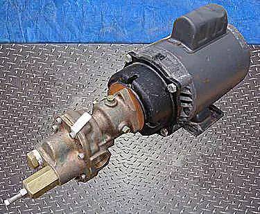 Rotary Positive Displacement Pump #1V360, 0.5 HP, 1725 RPM, 115-230 V, (2) 1" NPT Inlet/Outlet - Image 6