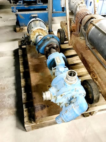 Viking #K124A, Positive Displacement Pump, 2 HP, 230/460 V, (2) 2" Tri-Clamp Inlet/Outlet - Image 4