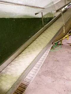 18" wide x 27' long, Intralox, Incline Conveyor - Image 4