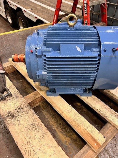 75 HP 1780 RPM Hyundai Crown Triton, Frame 365TC, explosion proof, 230/460 Volts - Image 4