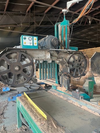 Wood-Mizer #WM-4000 sawmill, Max log diameter 100 cm, Max width of cut 86 cm - Image 2