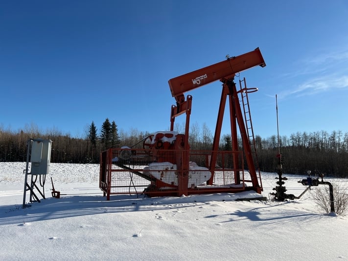 160 Legrand #160-173-74, pump jack, 1999 - Image 3