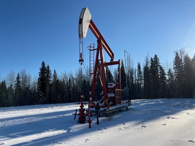 160 Legrand #160-173-74, pump jack, 1999 - Image 2
