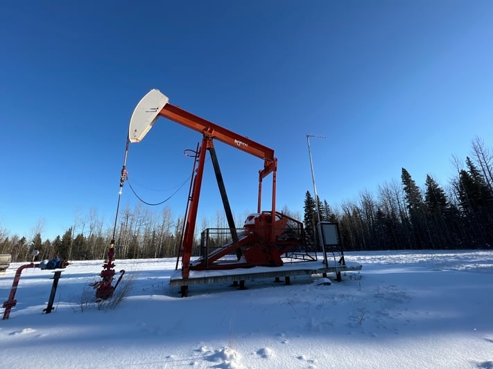 160 Legrand #160-173-74, pump jack, 1999 - Image 3