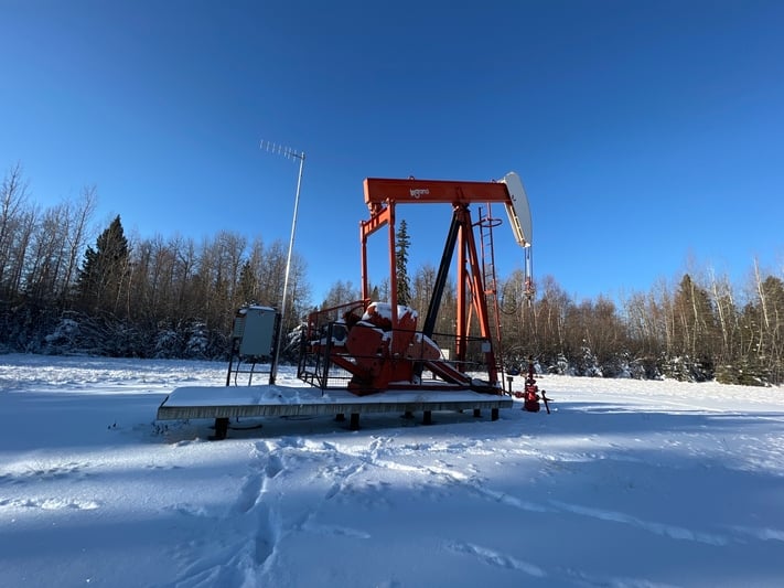160 Legrand #160-173-74, pump jack, 1999 - Image 10
