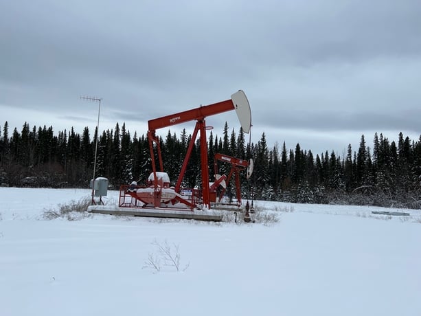 160 Legrand #160-163-64, pump jack, 1988 - Image 1