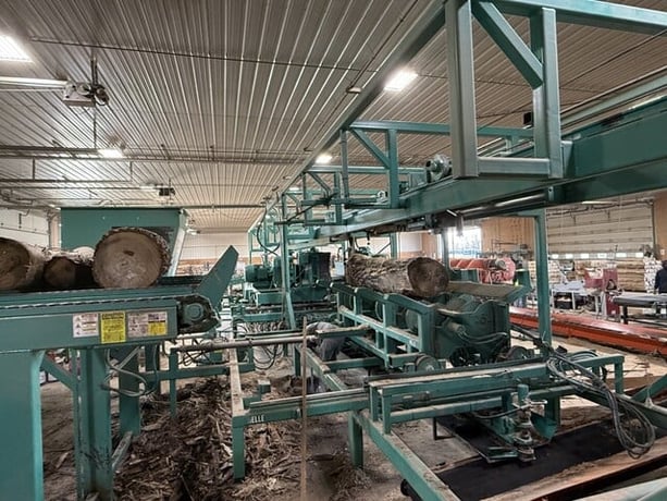 Helle End Dog Scragg Mill, Sawcab, Vertical Edger, Power Panel, 4-Strand, 20' Infeed Log Deck - Image 4