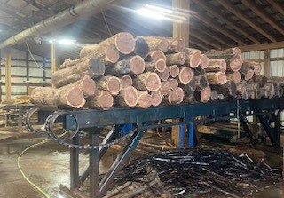 Morgan Scragg Mill, 20' scragg deck with electric drive - Image 1