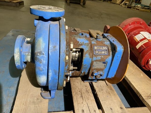 Goulds #3196, Stainless Steel Pump, 1.5" x 3"-6" Size - Image 2