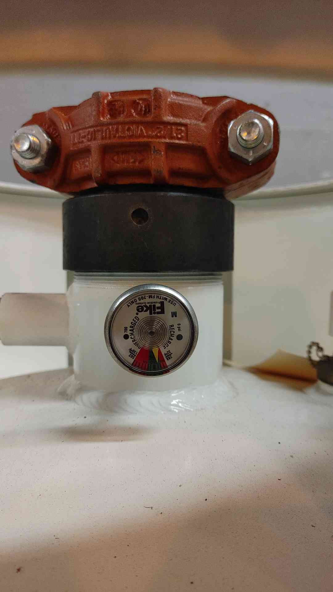 223 lbs. Fike, Clean Agent Extinguishing System Unit, FM-200 Agent, 32-130 F Temp. Range, 360 psig @ 70 F - Image 2