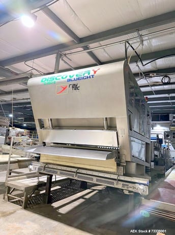 Raytec Vision Discovery Series #D-450-B Belt Optical Sorter, double reject, Bluelight Tech - Image 1