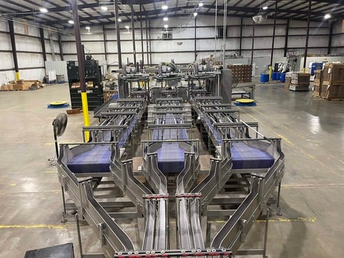 Douglas IPM, end-of-line packagin, palletizer - Image 8