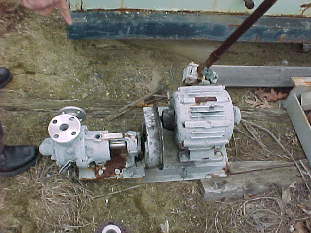 Stainless Steel Centrifugal Pump, Direct Coupled, 1" x 1", 5 HP - Image 1