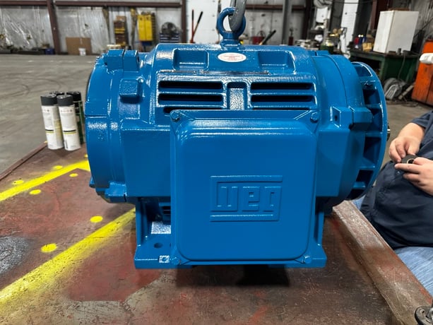 125 HP 3600 RPM Weg, Frame 404/5TS, ODP, T12536ot3e404ts-w40, 230/460 Volts, F1 mounting - Image 4