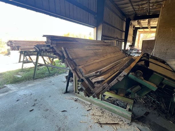 Newman #M712, 4-Sided Planer Mill, w/ Infeed Deck, unscrambler, conveyors - Image 3
