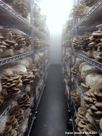 Semi-Automated Mushroom Substrate Processing System, (2) 37 cu.ft Patterson All-Weld mixers, Reimers steam - Image 6